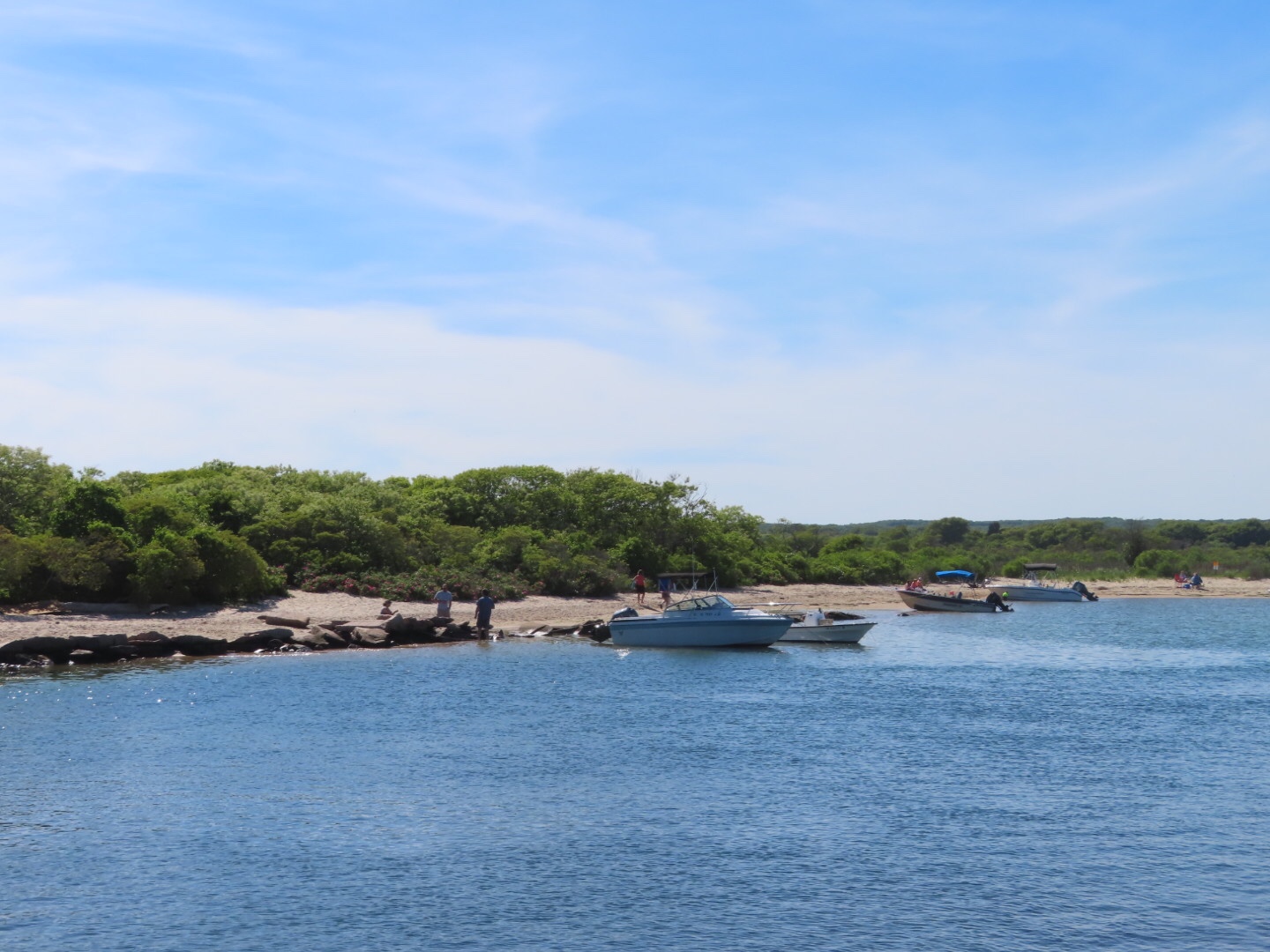Charlestown Breachway Heart on the Wing