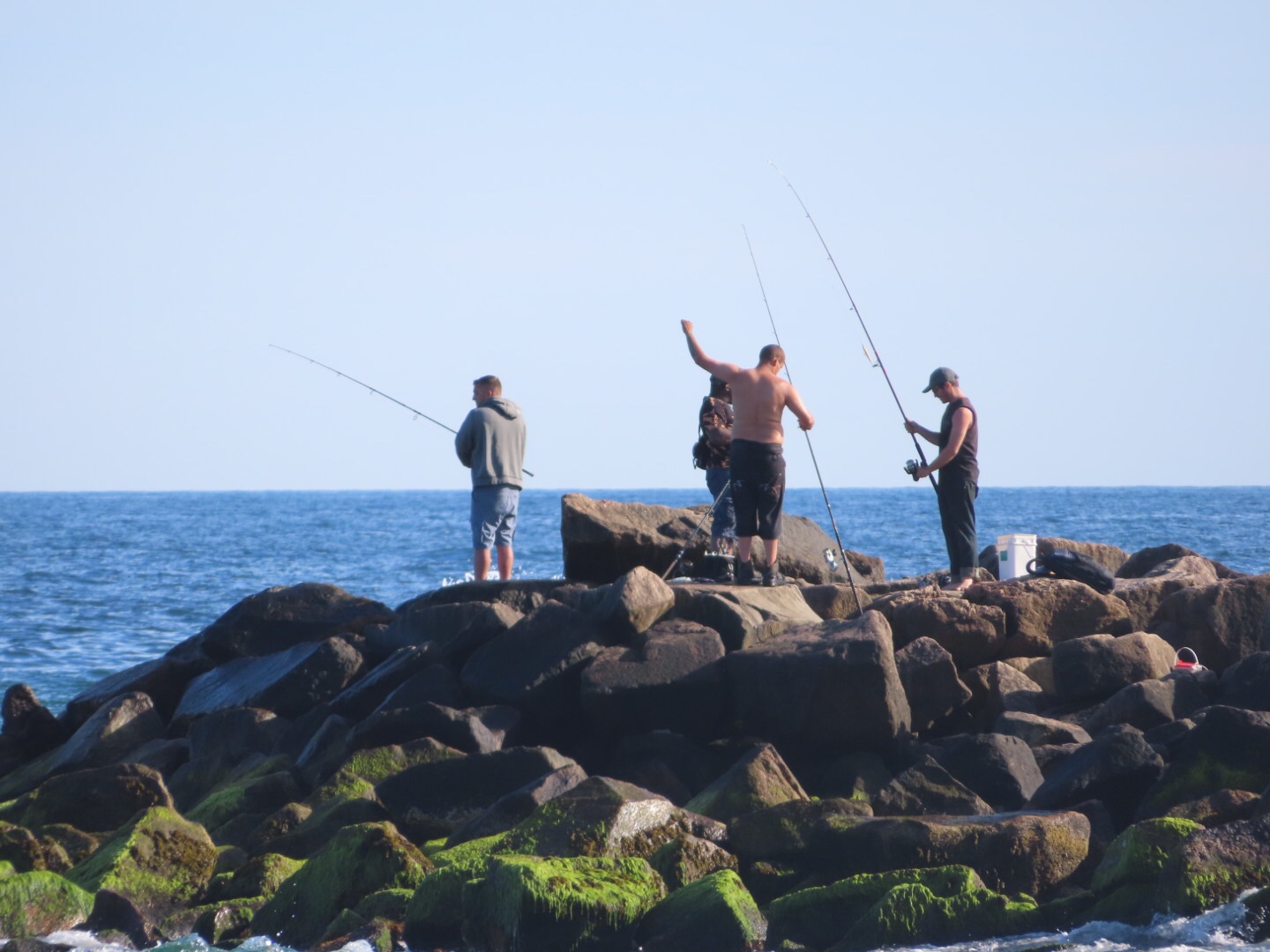 Charlestown Breachway Heart on the Wing